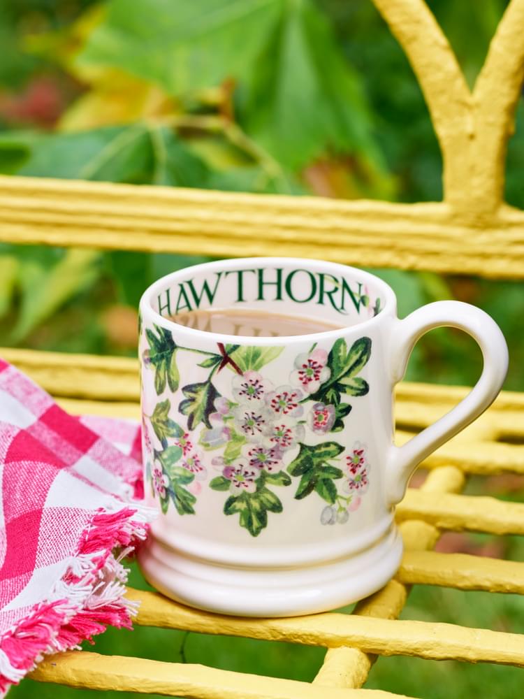 Emma Bridgewater Hawthorne 1/2 pt Mug