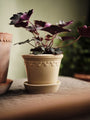 Bergs Potter Kobenhavner Pot - Sandstone