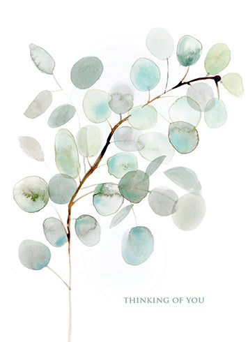 Calypso Card CC1775 Eucalyptus