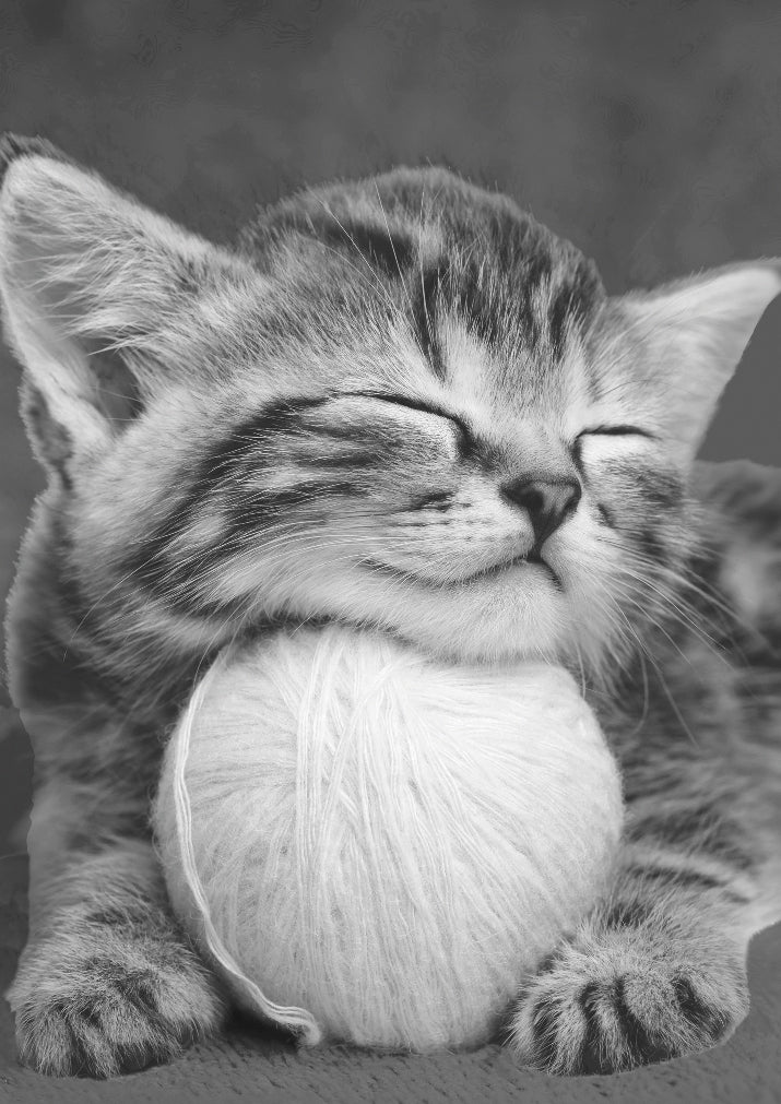 Ling Design GG0260 Cat Nap*
