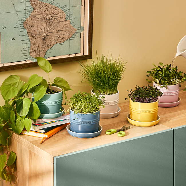 Le Creuset 14cm Herb Pot