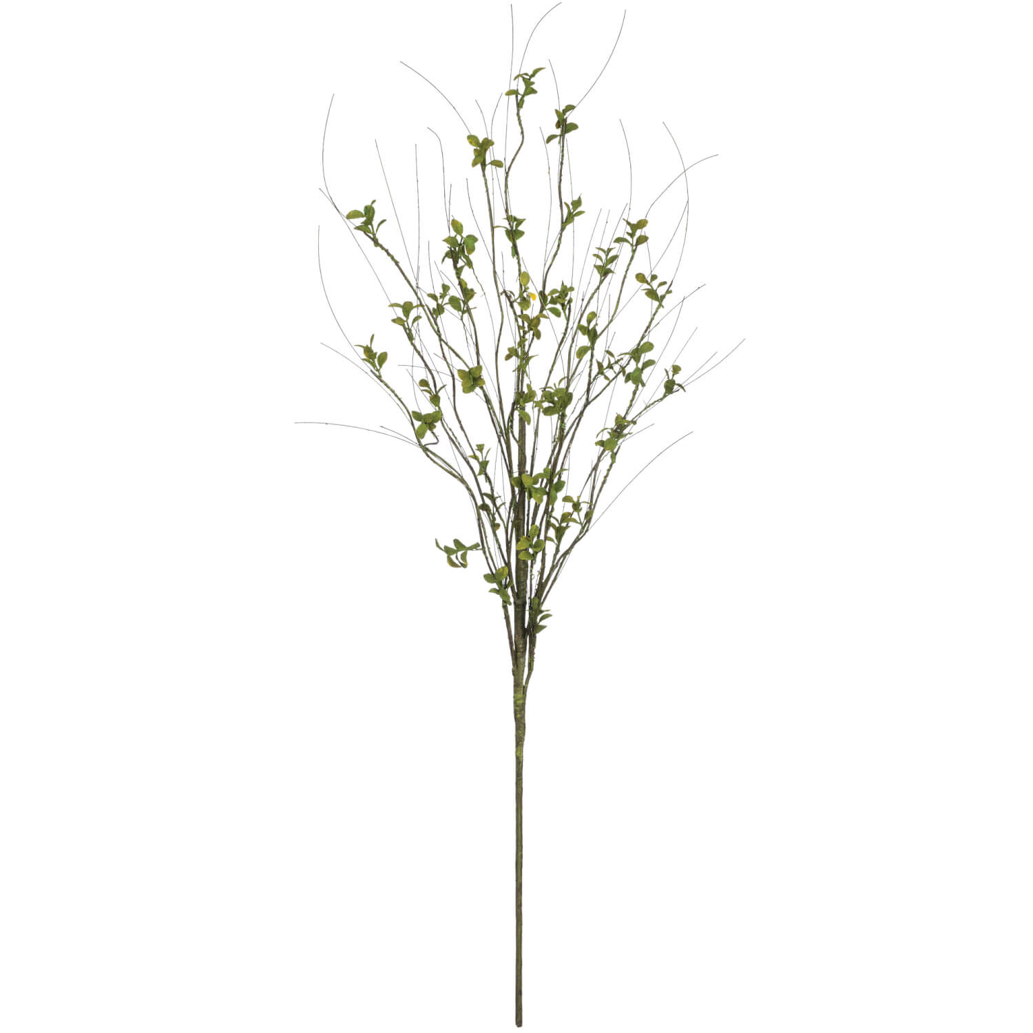 Sullivans Leafy Foilage Spray FLGLSP