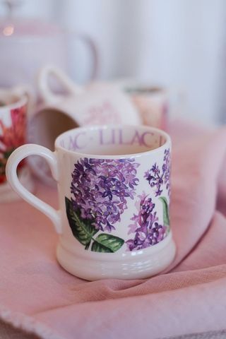 Emma Bridgewater 1/2 pt Polka Dot Mug - Crocus & Ivy Interiors